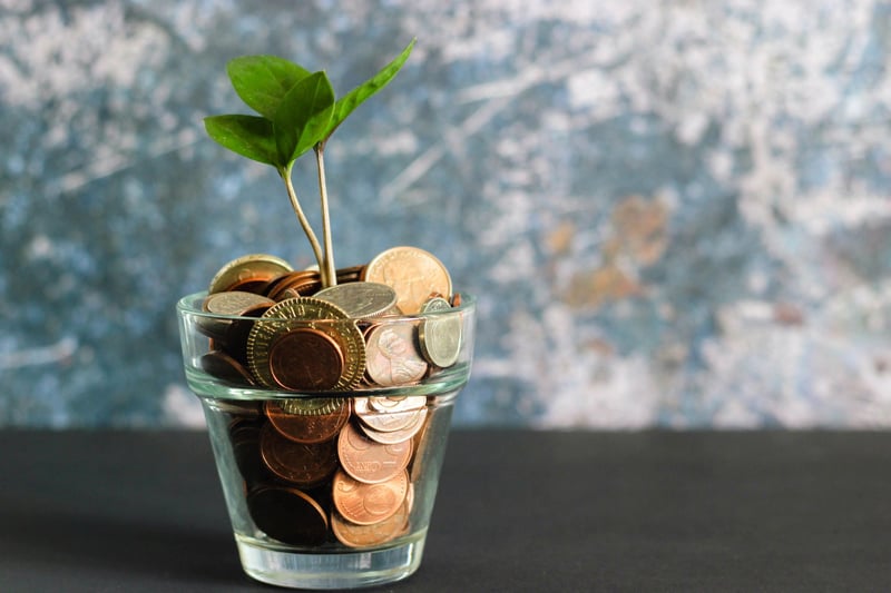 Plant pot filled with coins